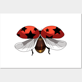 Ladybug with Stars Posters and Art